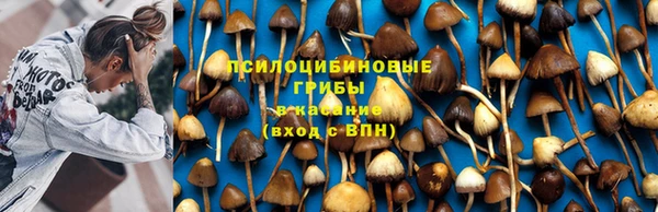 мяу мяу кристалл Алексин