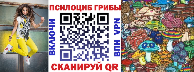 блэк спрут как зайти  Красновишерск  Псилоцибиновые грибы ЛСД 